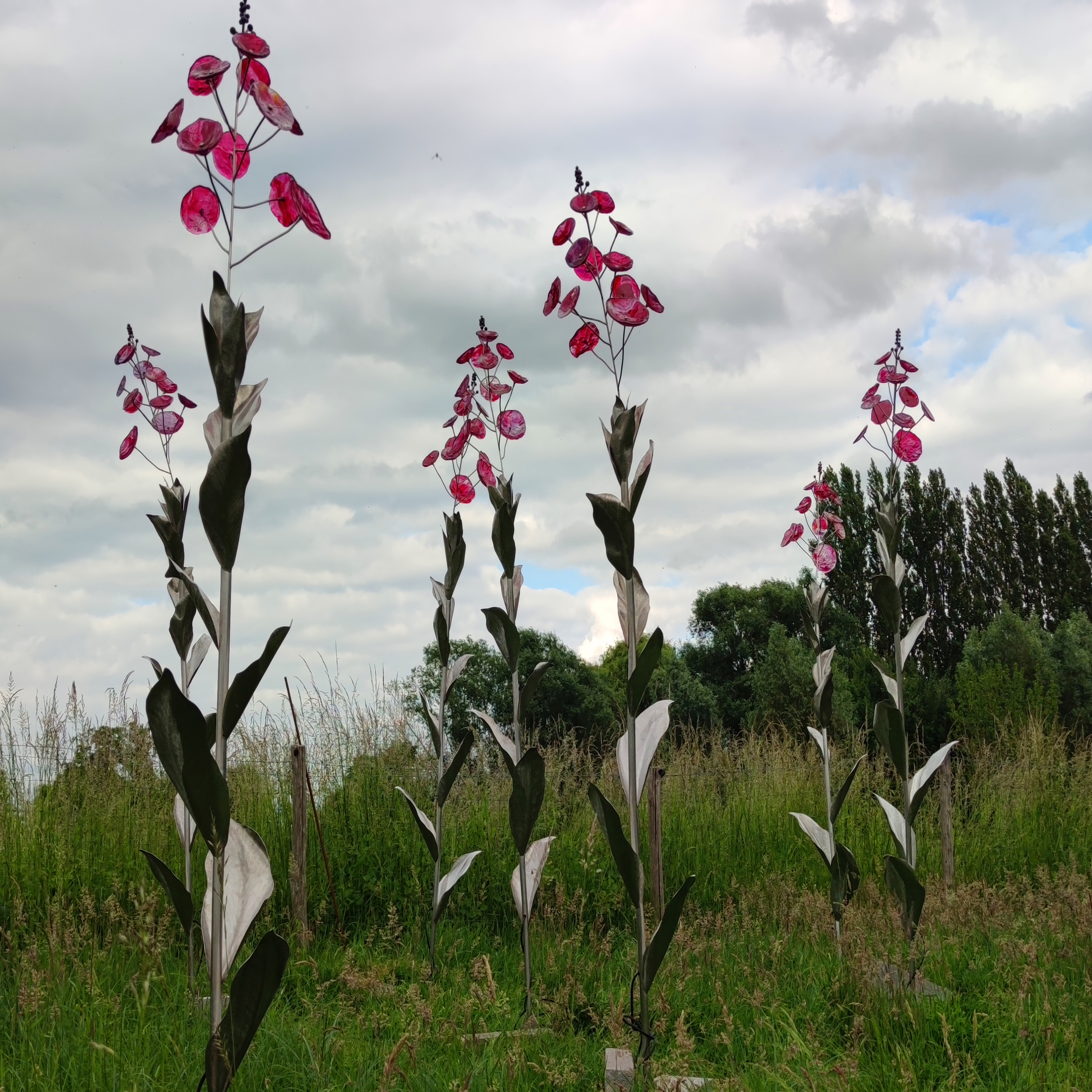 Artists/Images/bjane cowie_image_fireweed_flower_overview.jpg